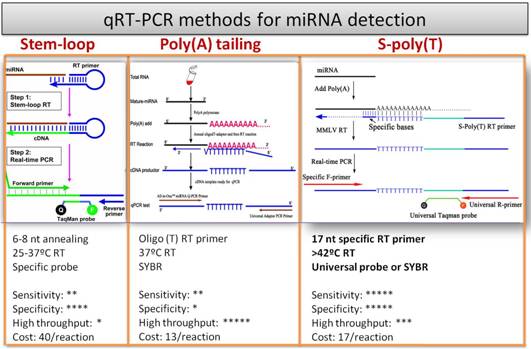 miRNA方法比价图.jpg