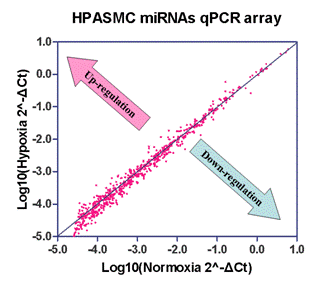 HPASMC miRNA profiling